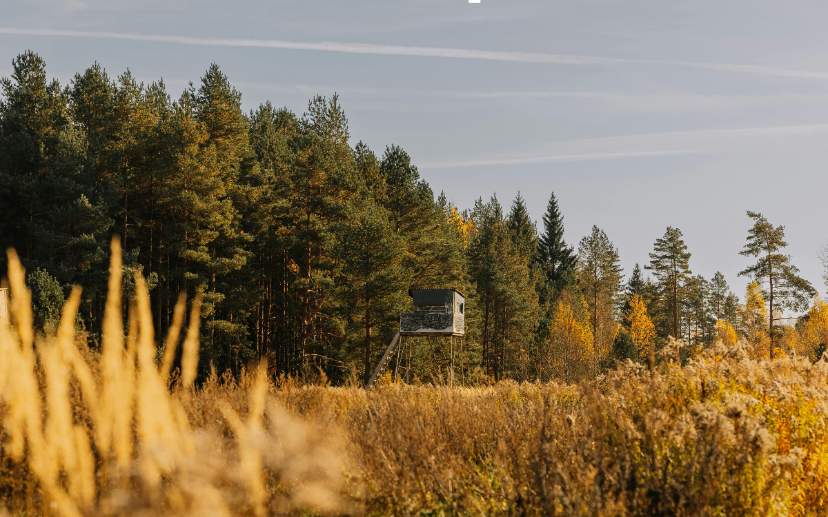 Hunting Land vs Recreational Property: What Buyers Want Around Rochester, Minnesota